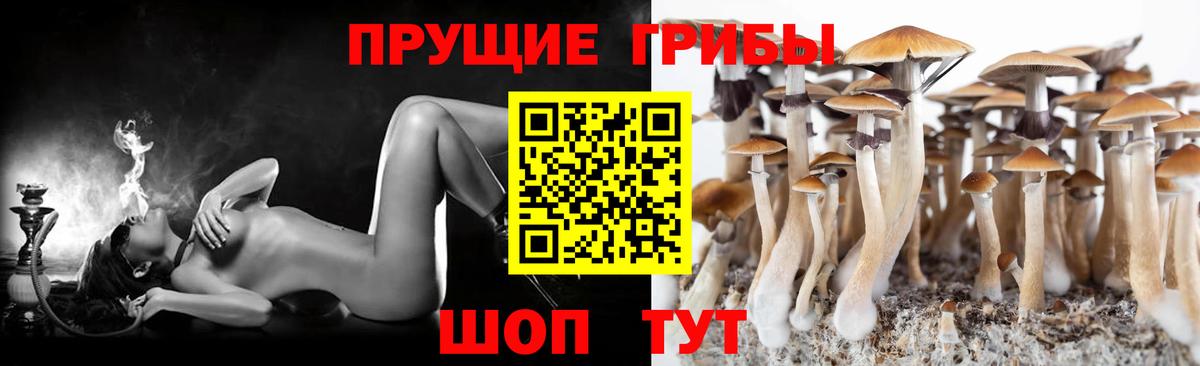 Галлюциногенные грибы мицелий Губкинский